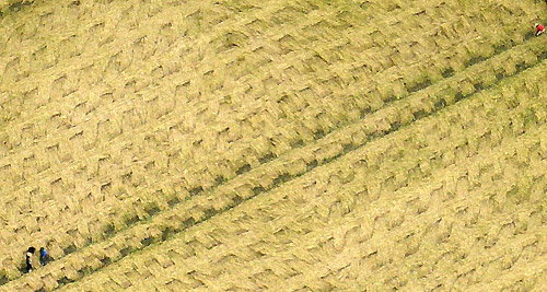 2009 basket