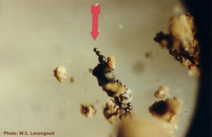 micromagnets