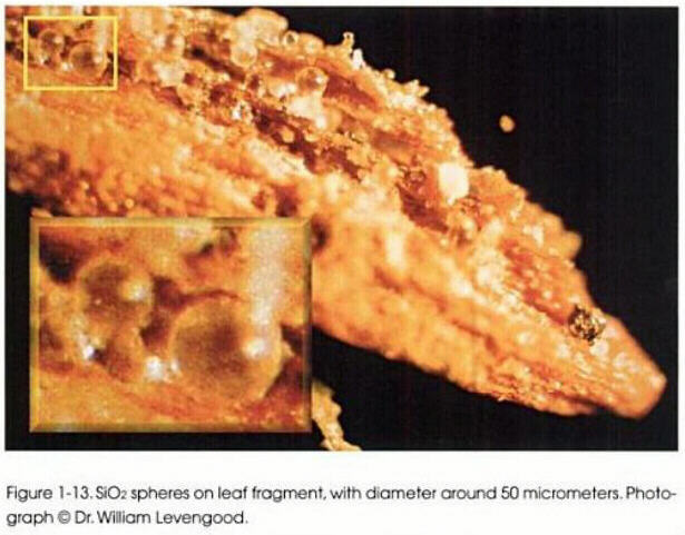 SiO2 microspheres