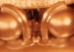 Another cropped image of night time WCUFO