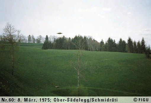 BillyUFOwiFertile&cultivatedWoodland