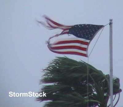 RAGGED FLAG BY NATURE