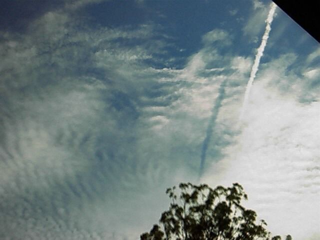 scalar1