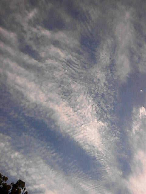 scalar3