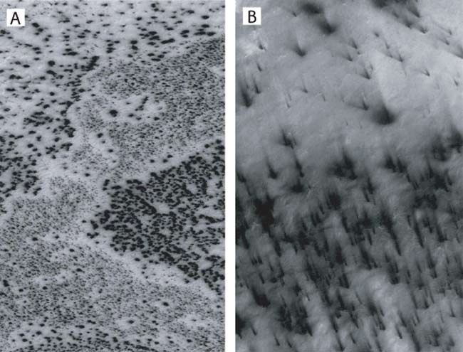 MarsSpots