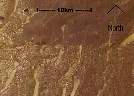 Mars sylivculture