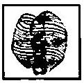 shape of universe as plejaren told