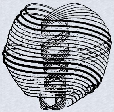 spiral1