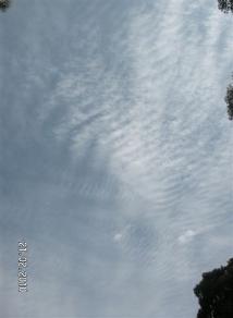 Melbourne Sky