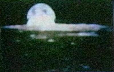 2 Moons over Prehistoric Earth