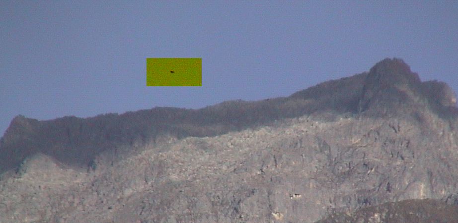 UFO Sighting