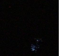 lights4
