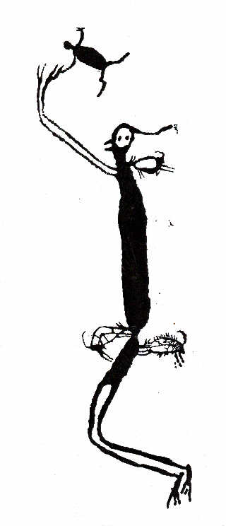 Australian Aboriginal Prehistory