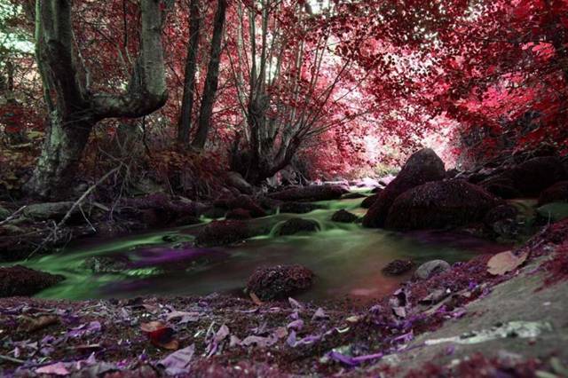 brook